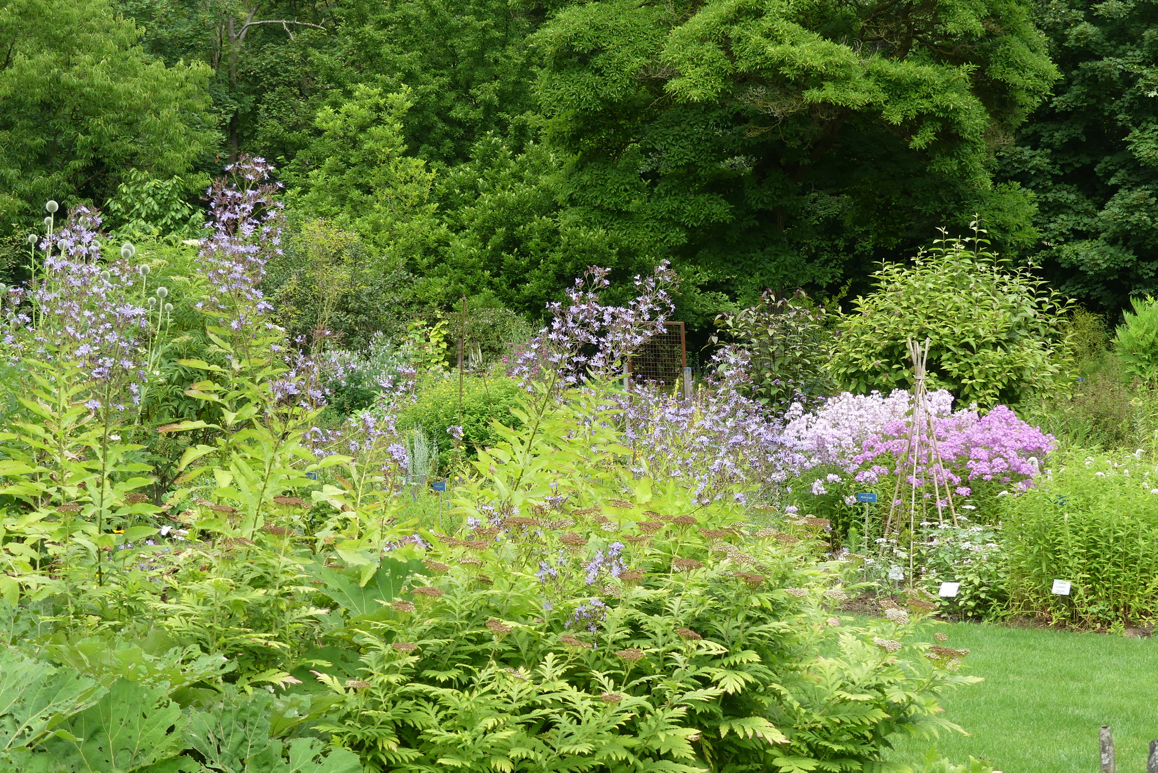 Een botanische tuin aan de rand van Brussel! (VOLZET) C.I.II.III.IV.A