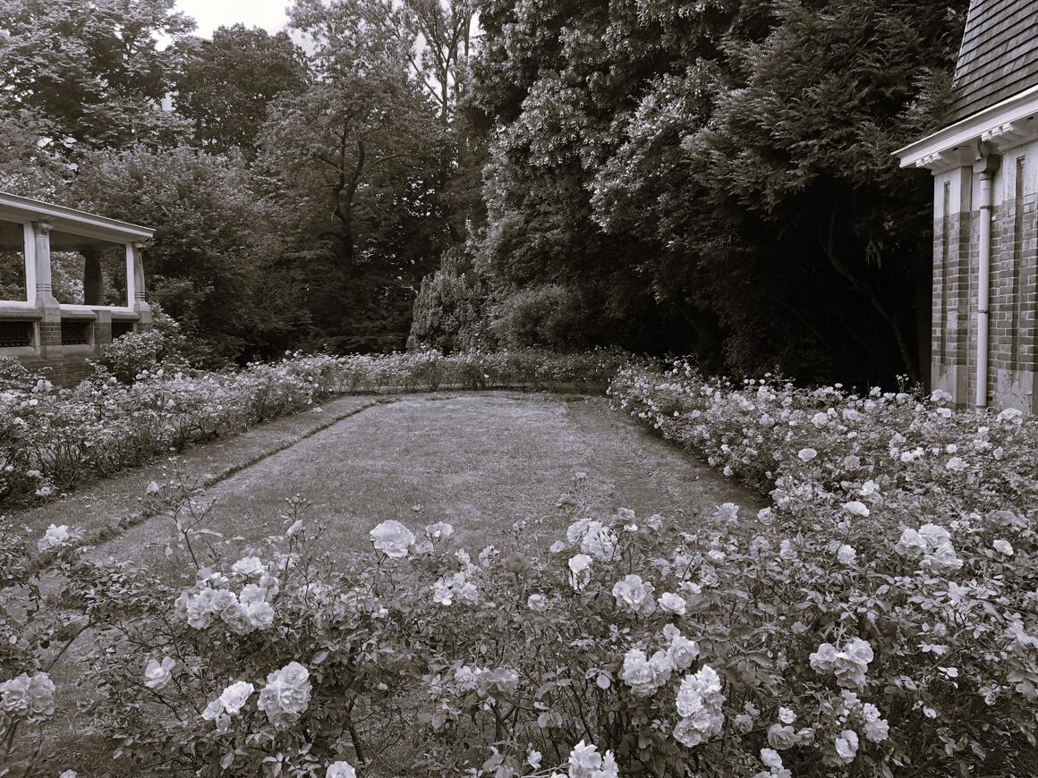  © Laure Mortiaux	