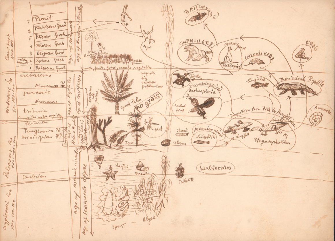 Frederick Kiesler, Ecology Exhibition, study for a project in the American Museum of Natural History, New York, ink on paper, c.1944. <br> © Courtesy of the Austrian Frederick and Lillian Kiesler Private Foundation 	